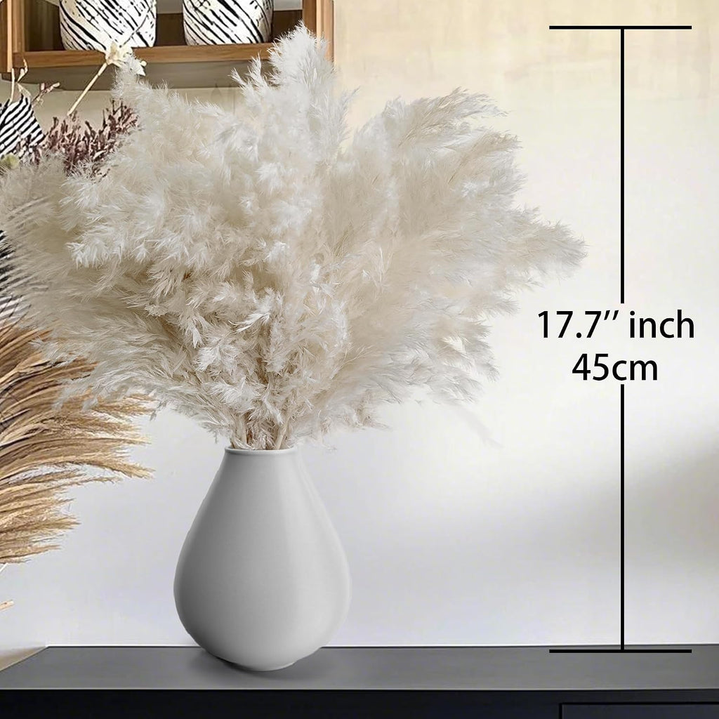 30PCS White Pampas Grass for Home Decor - Elegant Boho Decor - Premium Quality Pampas Grass Stems - Perfect for House, Nursery, Western, Wedding, Table, and Bohemian Decor